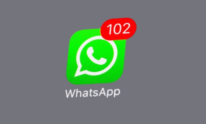 الوصول عبر النسخ الاحتياطي والتصدير