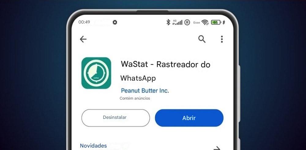 Principais recursos do WaStat