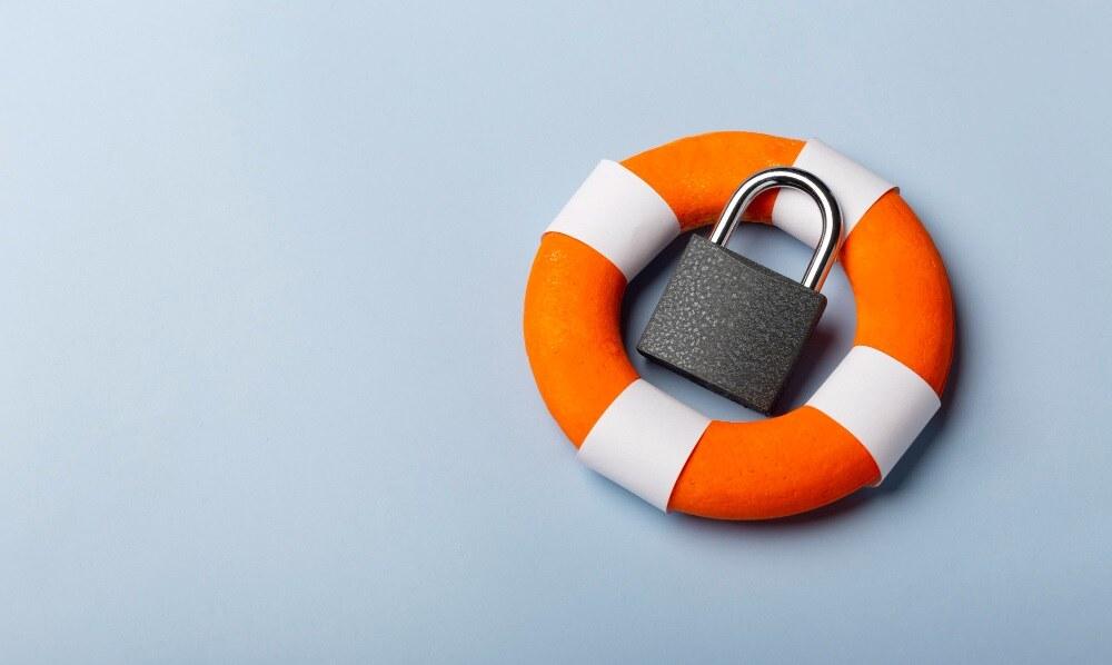 Seguran&ccedil;a e privacidade ao usar o SpyLive360