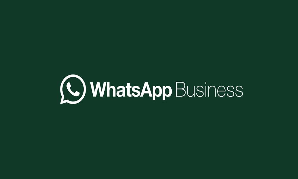 WhatsApp Business + WhatsApp Pessoal para clonar WhatsApp em 2 minutos