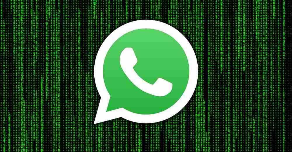 Revisar el almacenamiento y datos de WhatsApp para ver con quién se comunica en WhatsApp