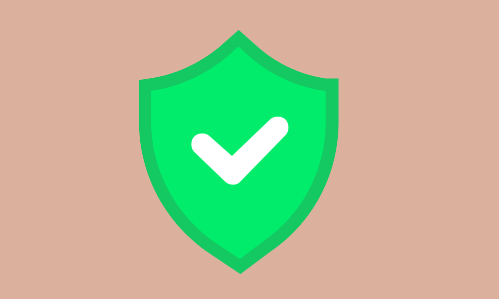Evaluación de Seguridad De mSpy