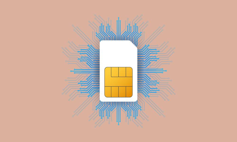Suivre WhatsApp Après Échange de SIM