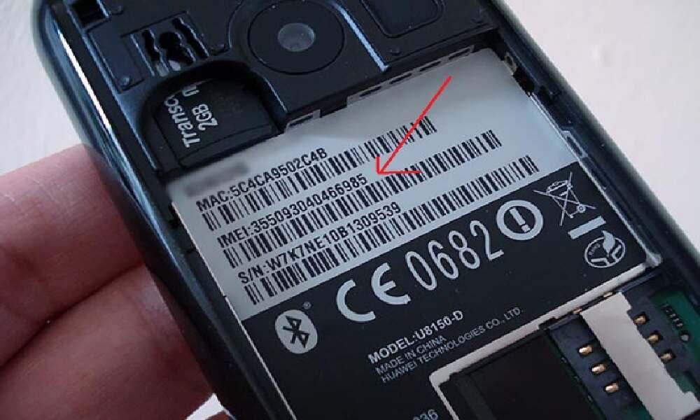 Check The Phone's Body or Tray