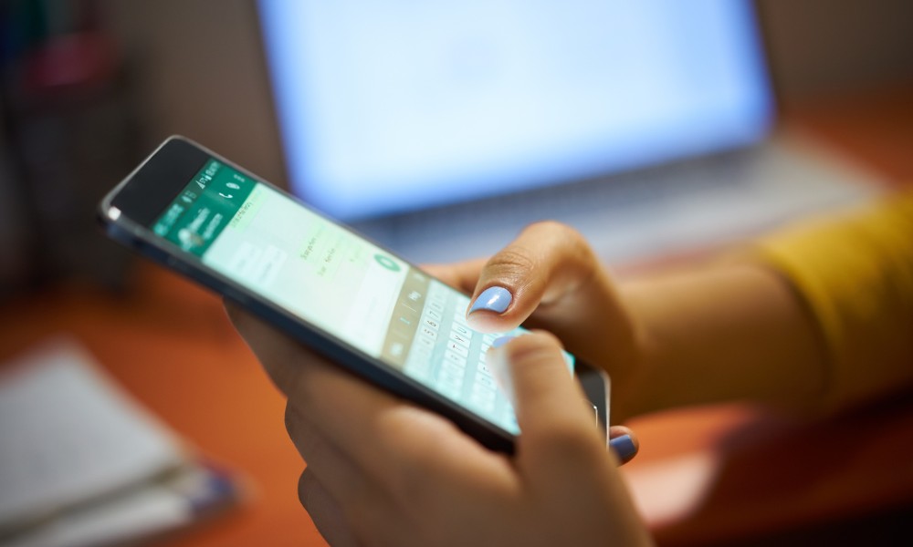 Access Through WhatsApp Web