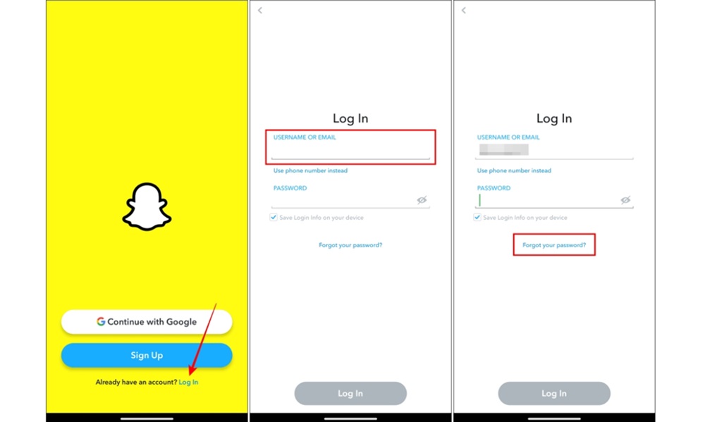 Browser Autofill Recovery to Get Someone's Snapchat Password