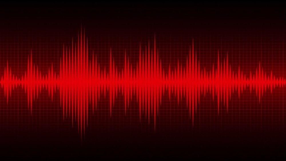 Check If WhatsApp Calls Sound Strange to Know If Your WhatsApp Is Being Monitored