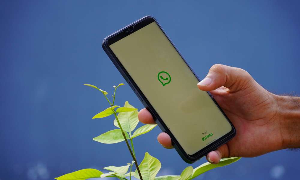 Database Extraction to See WhatsApp Chat