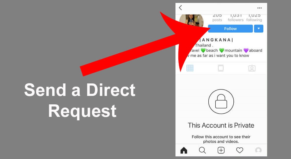 Official Method of Viewing Private Instagram Accounts