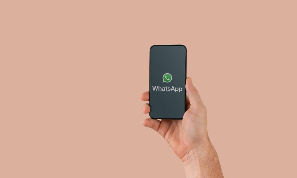 Spy on WhatsApp App