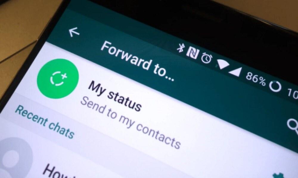 The Official Way to Check Status on WhatsApp