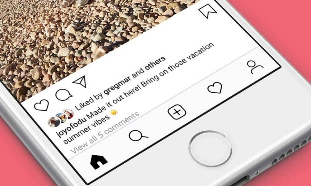 View Instagram Likes and Comments History